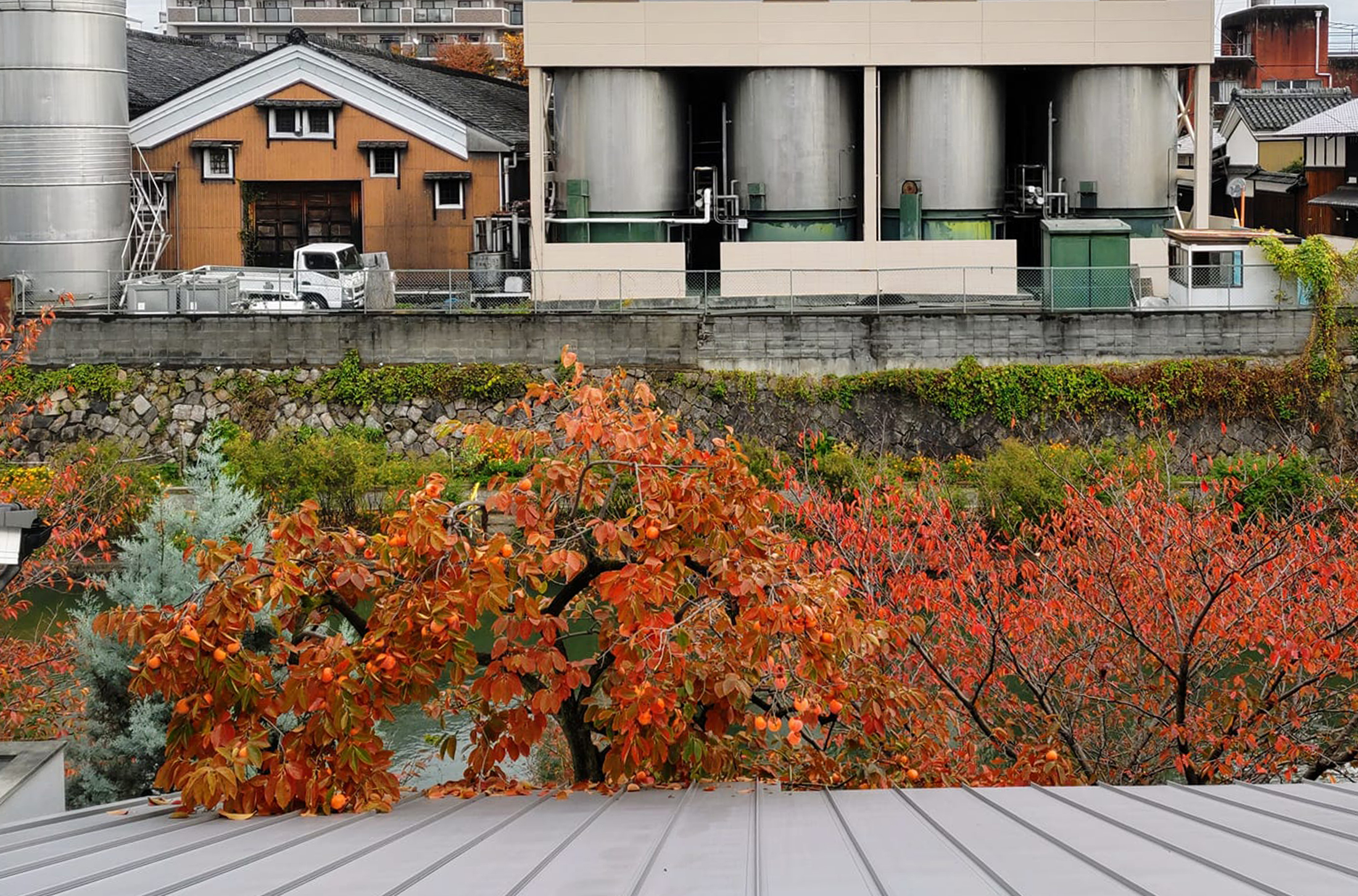 なごみのくうかん