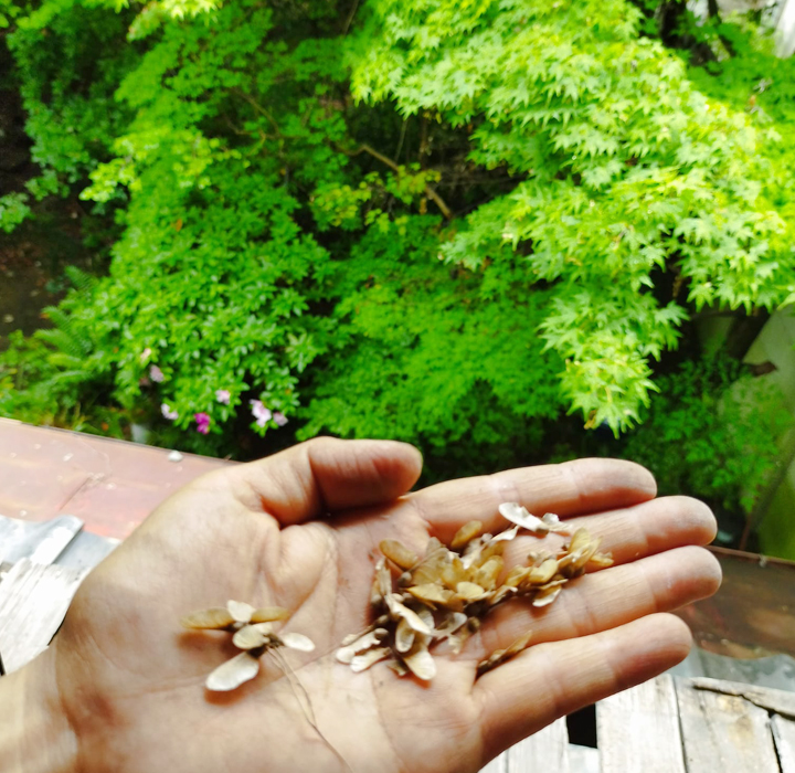 なごみのくうかん