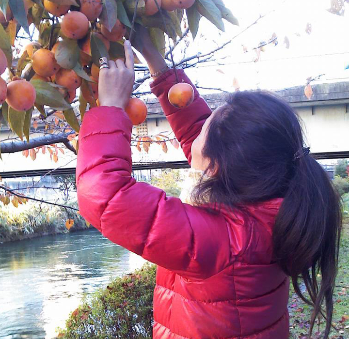 なごみのくうかん